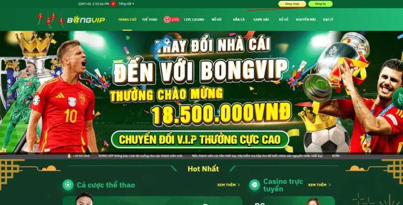 Giới thiệu về bongvip