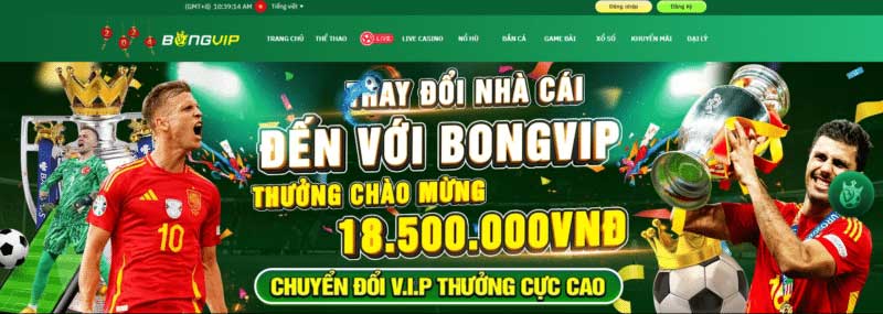 Tổng quan về bongvip 